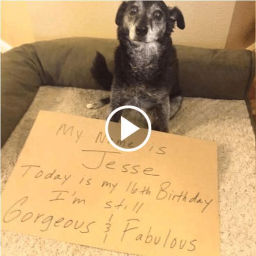 Jesse’s 16th Birthday: A Journey of Self-Discovery and Acceptance